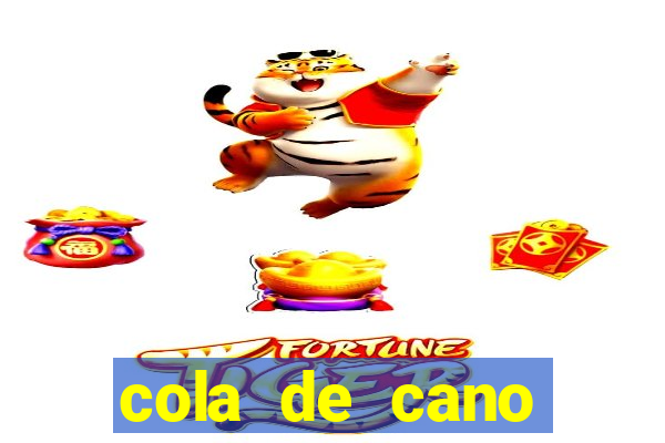 cola de cano quanto tempo para secar